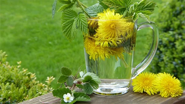 Stop Your Houseplant From Dying: 5 Simple Fixes